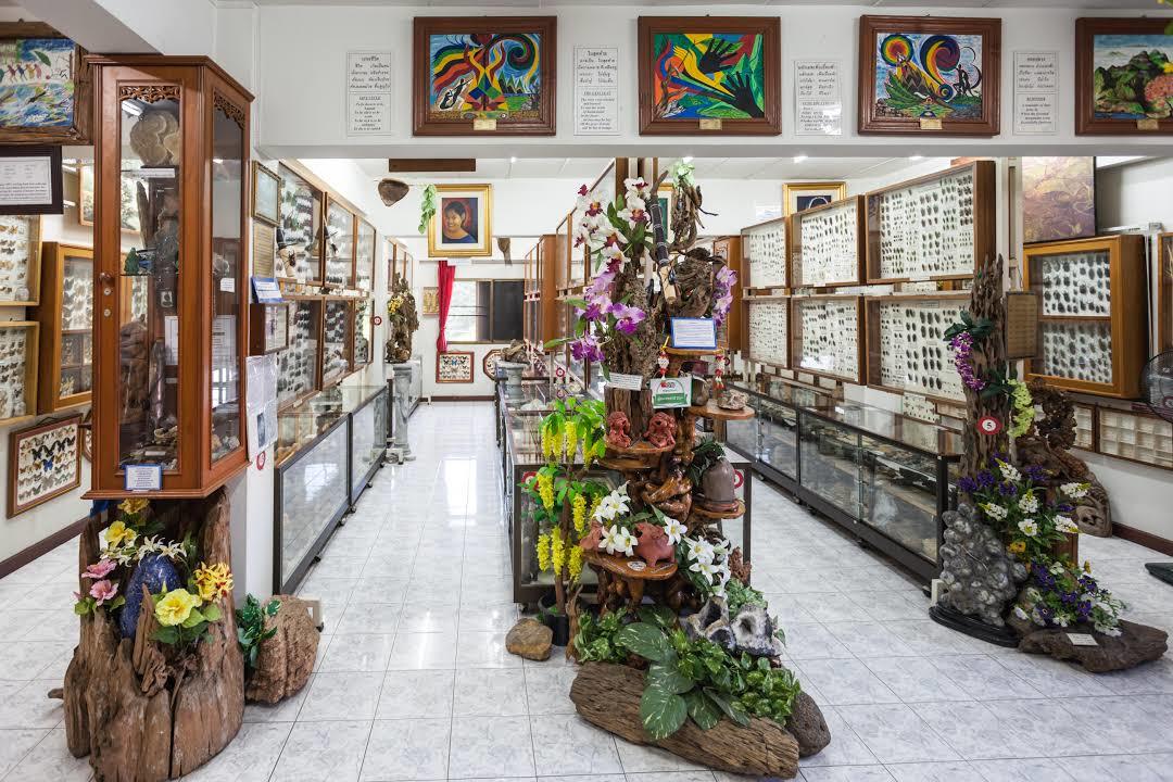 Museum of World Insects and Natural Wonders